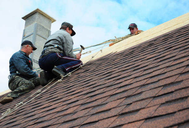 Best Roof Gutter Cleaning  in Mckee City, NJ